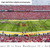 Iowa State Cyclones Football Panoramic Picture - Jack Trice Stadium Fan Cave Decor