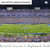 Buffalo Bills Panoramic Picture - Final Season at Highmark Stadium Fan Cave Decor