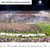 Virginia Cavaliers Field Storming Football Panoramic Picture - Scott Stadium Fan Cave Decor