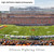 Illinois Fighting Illini Football Wall Art - Gies Memorial Stadium Panorama