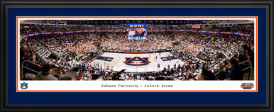 Auburn Tigers Baseball Panoramic Picture - Plainsman Park Fan Cave