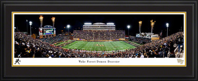 Wake Forest Demon Deacons Football Panoramic Picture Allegacy