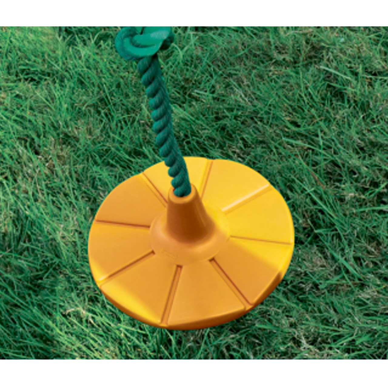 Knotted Rope with Disc