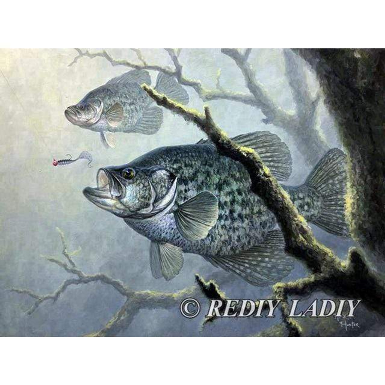 Kit Diamond Painting Fish