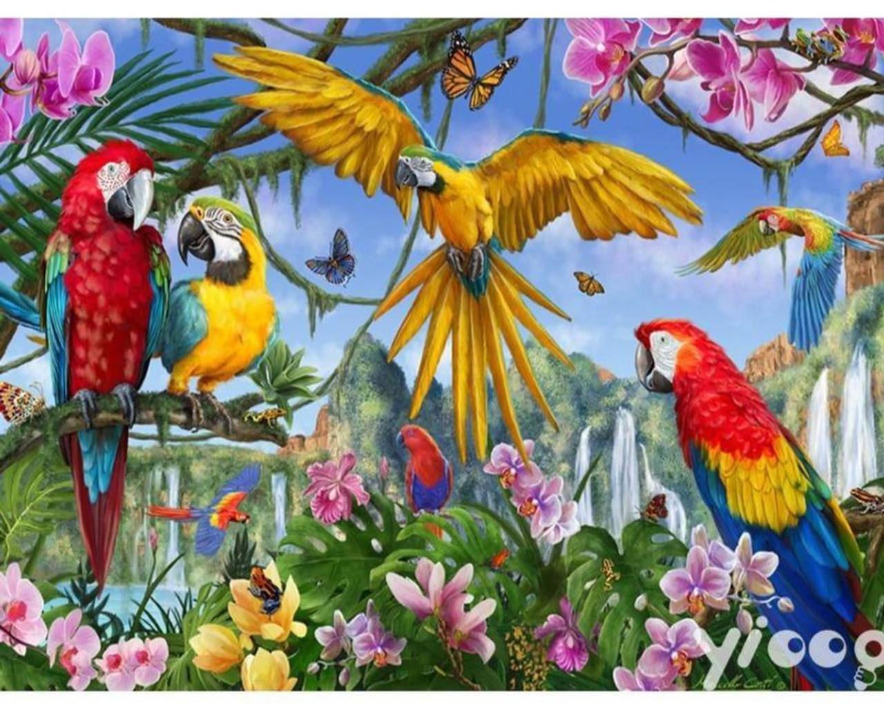 5D Diamond Painting Animals Parrot – QuiltsSupply