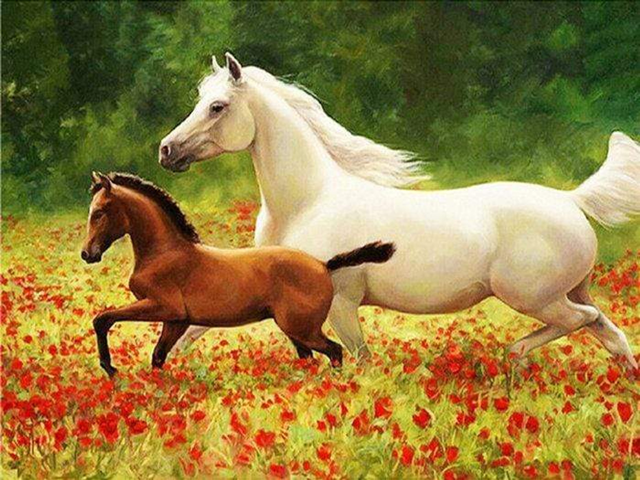 Collection D'Art Horses in The Meadow Kit & Frame Diamond Painting