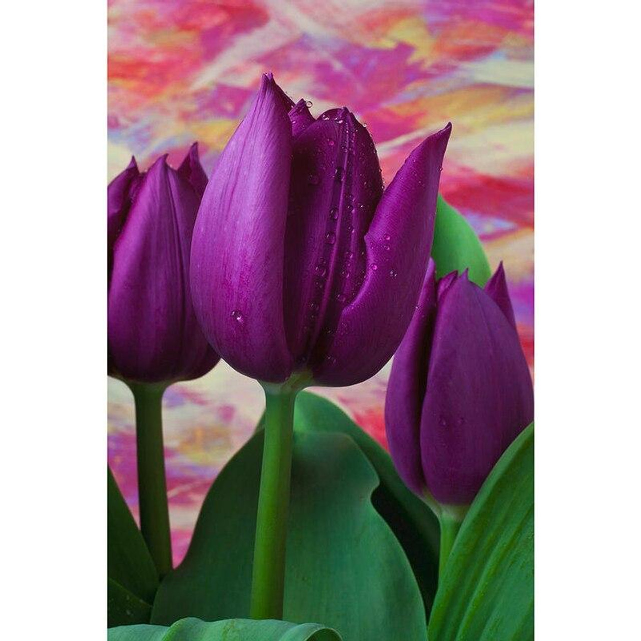 5D Diamond Painting Big Purple Tulip Kit