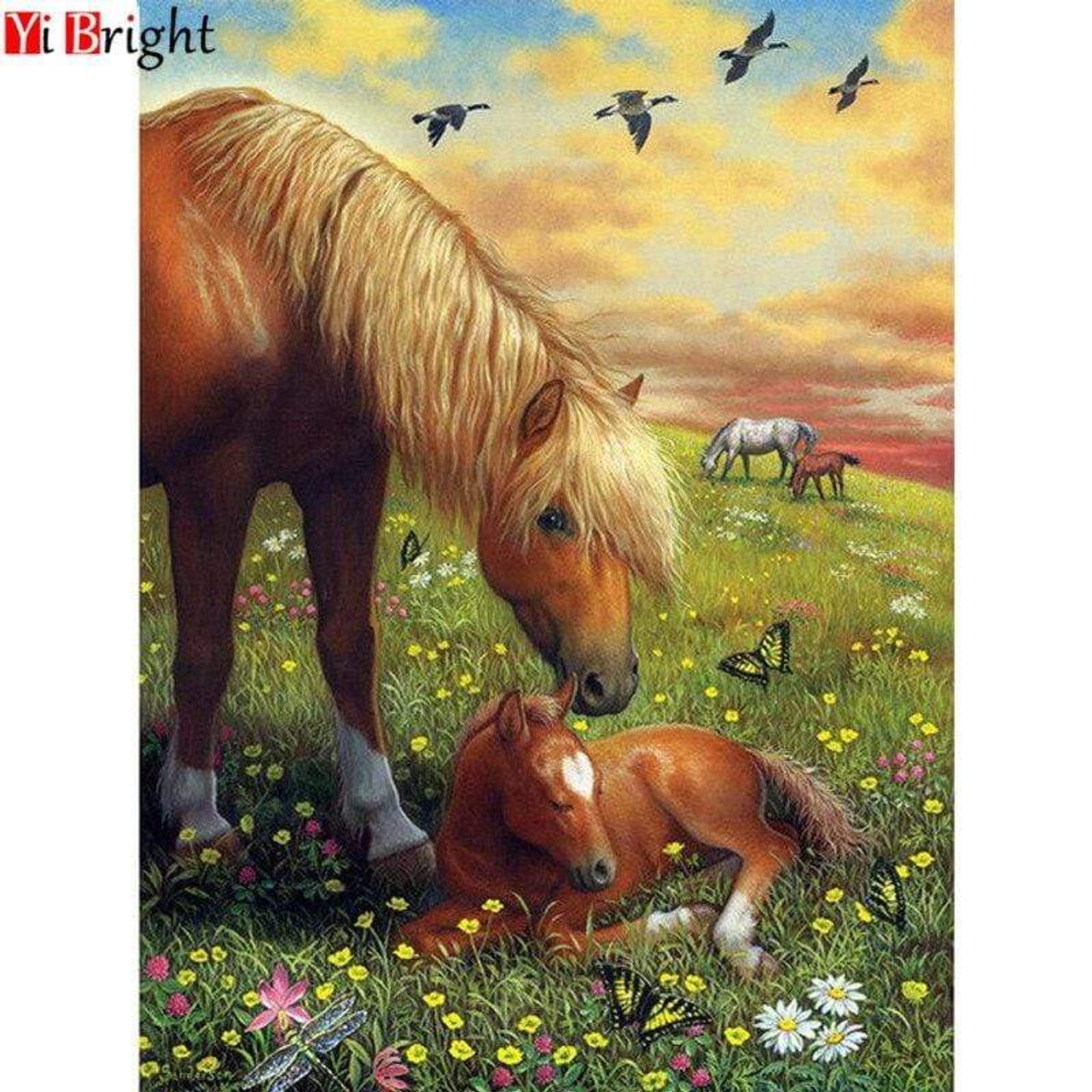 5D Diamond Painting Dog Picnic in the Meadow Kit