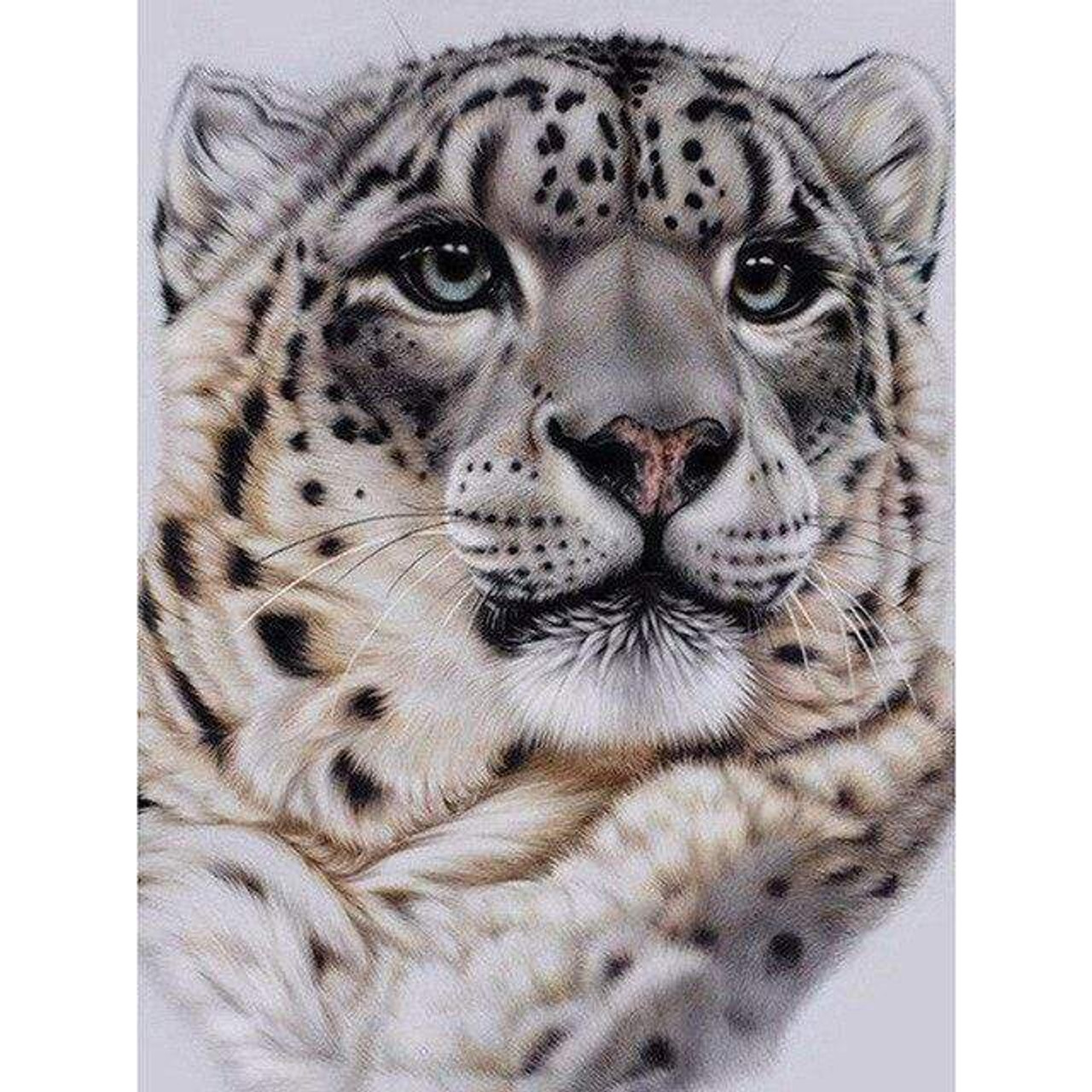 white snow leopard face