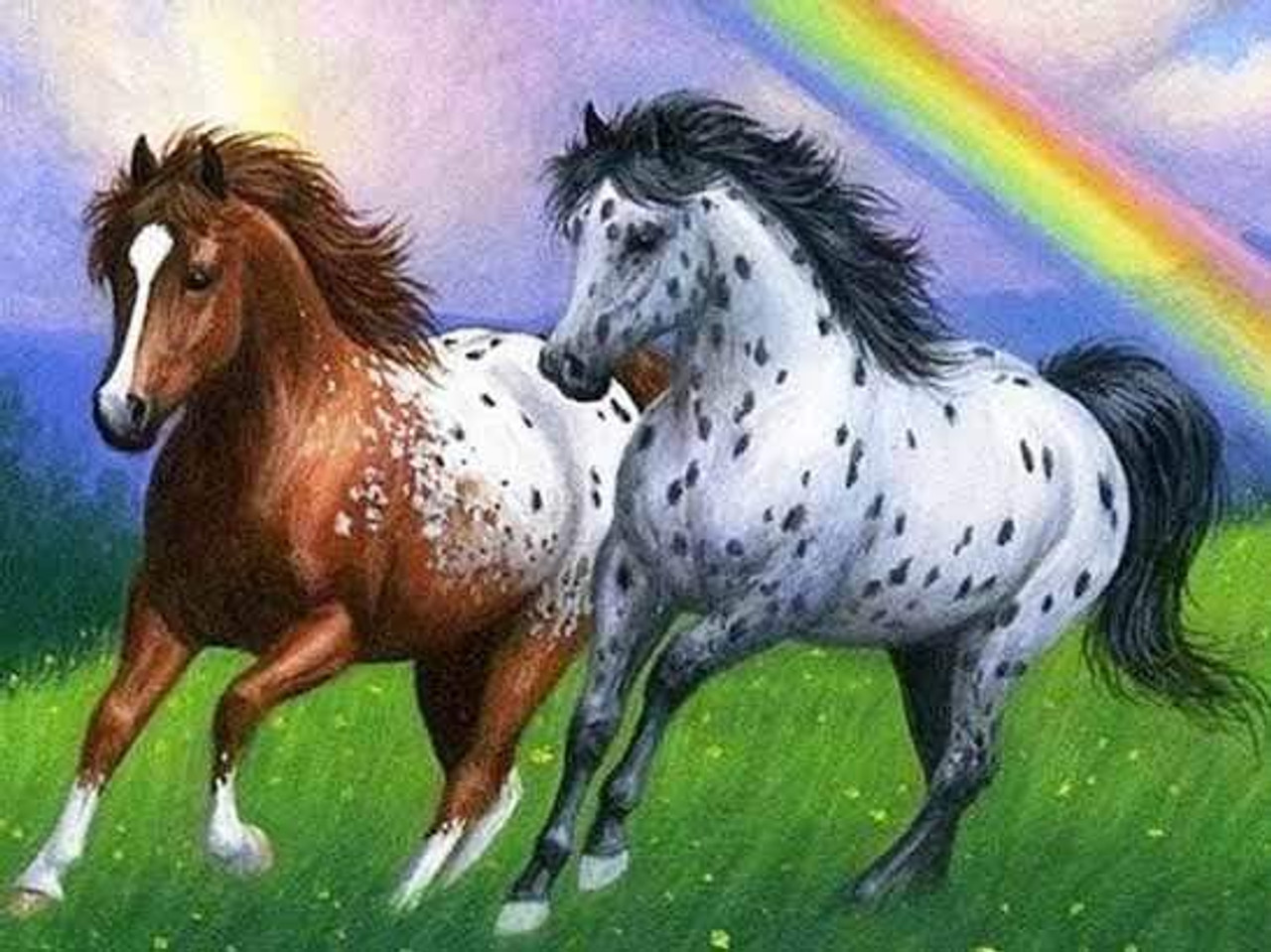 5D Diamond Painting Two Horse Rainbow Kit