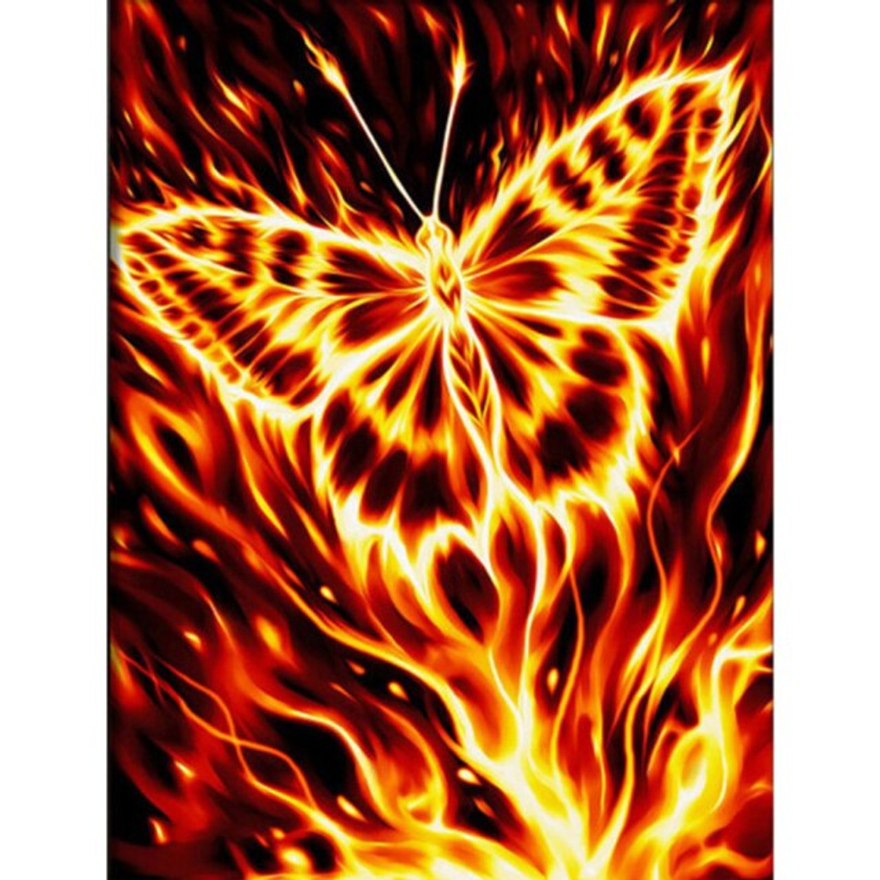 Groot Fire Butterfly - 5D Diamond Painting - DiamondByNumbers - Diamond  Painting art