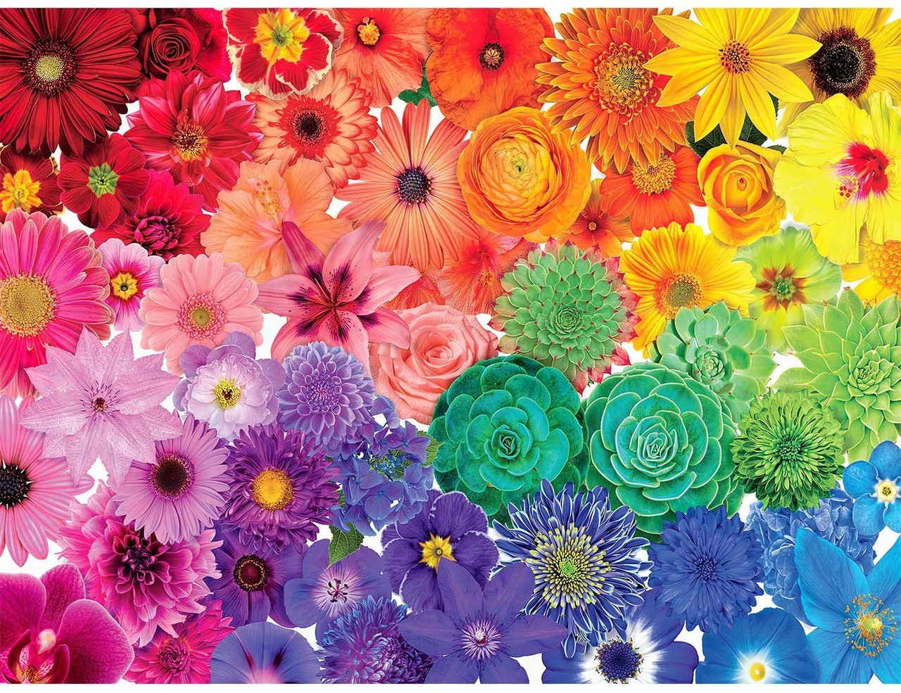 5D Diamond Painting Rainbow Collage of Flowers Kit