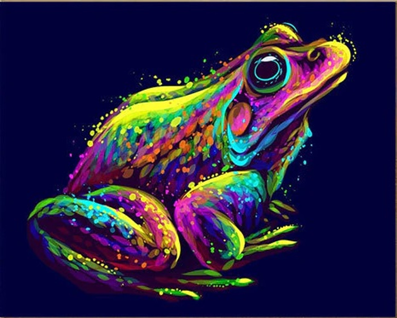 colorful frog drawings