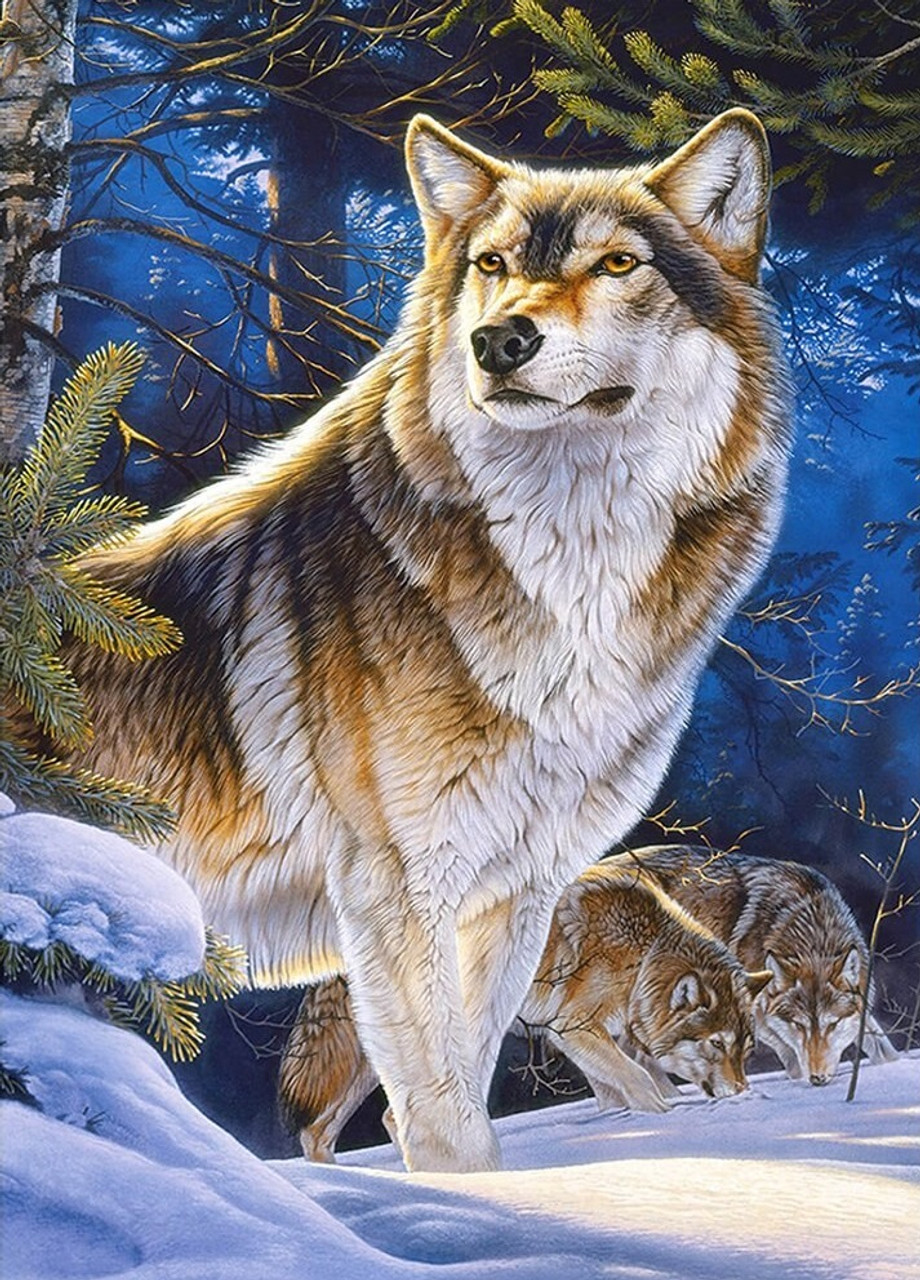 Snow Baby Fox - Animals 5D Diamond Painting - DiamondByNumbers - Diamond  Painting art