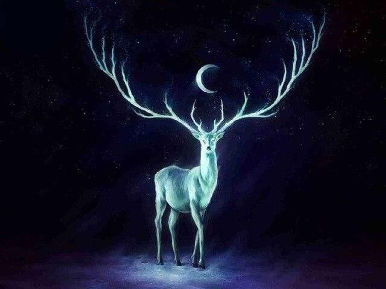 Diamond Painting - Deer and Full Moon – Figured'Art