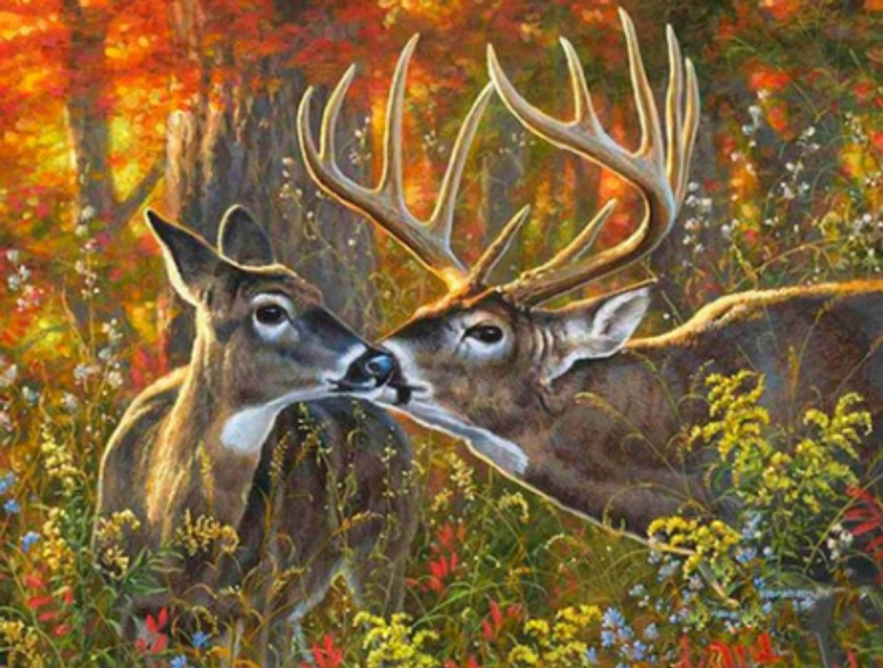 Snuqevc 5D DIY Animals Diamond Painting - Deer with Flower Adult Diamond  Painting Kits Embroidery Crystal Kit, Wall Decor Home Decor - 8X12inch  Mural
