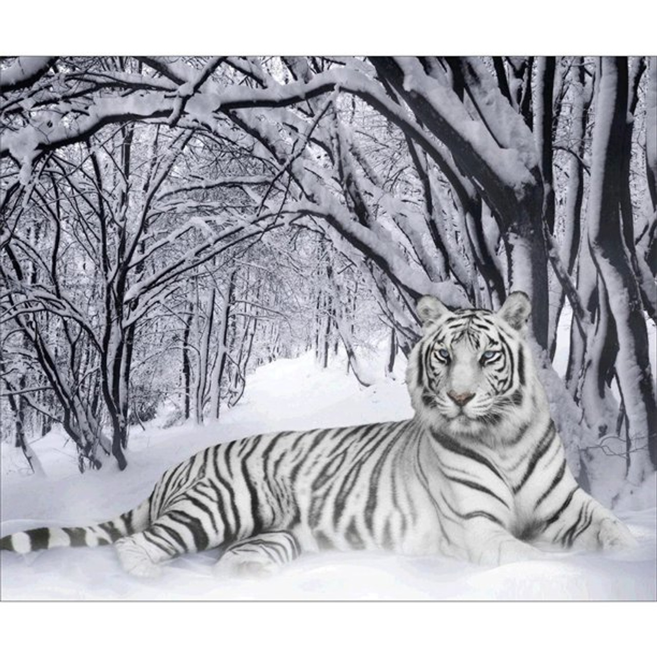 Moonlit White Tiger Family Paint with Diamonds - Goodnessfind