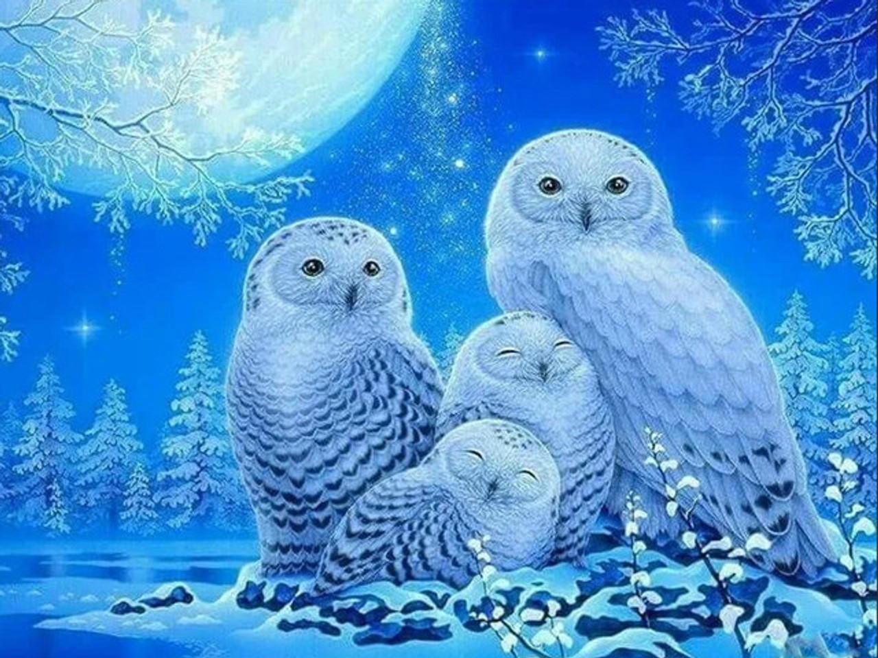  5D Diamond Painting Kits for Adults Snowy Owl Full