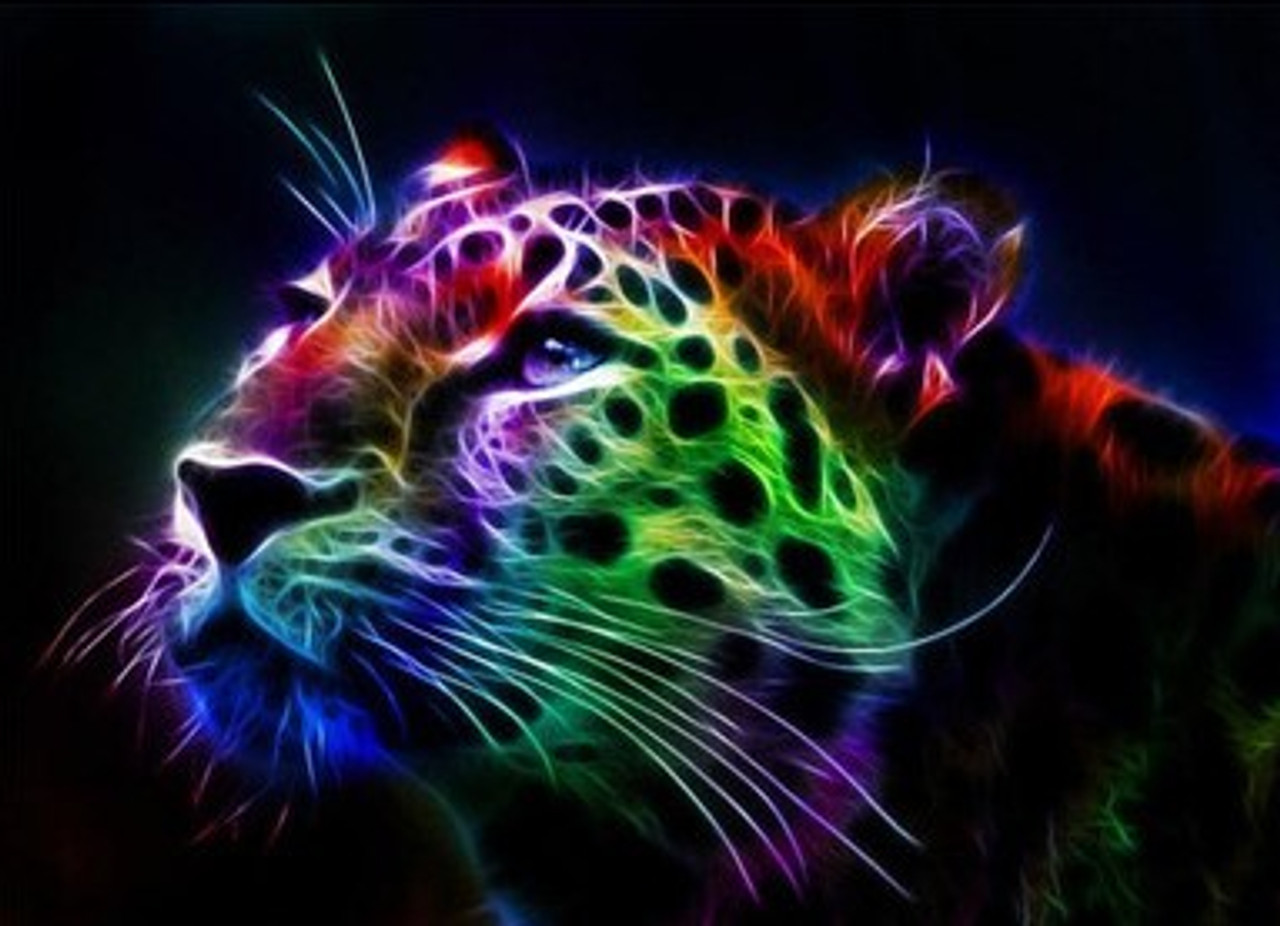 5D Diamond Painting Abstract Rainbow Leopard Face Kit - Bonanza Marketplace