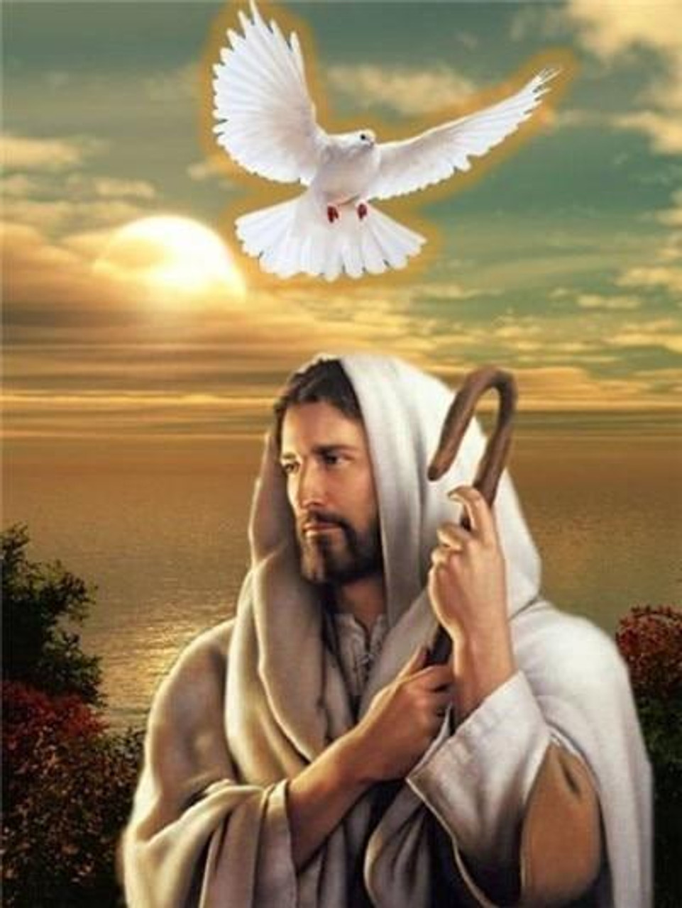 5D Diamond Painting Jesus with a Dove & Earth Kit - Bonanza