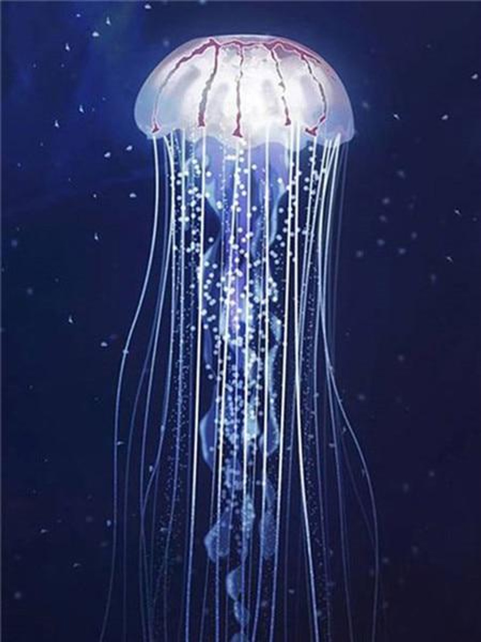 Jellyfish Glow Diamond Painting - New Jellyfish Big Fish– Craft-Ease