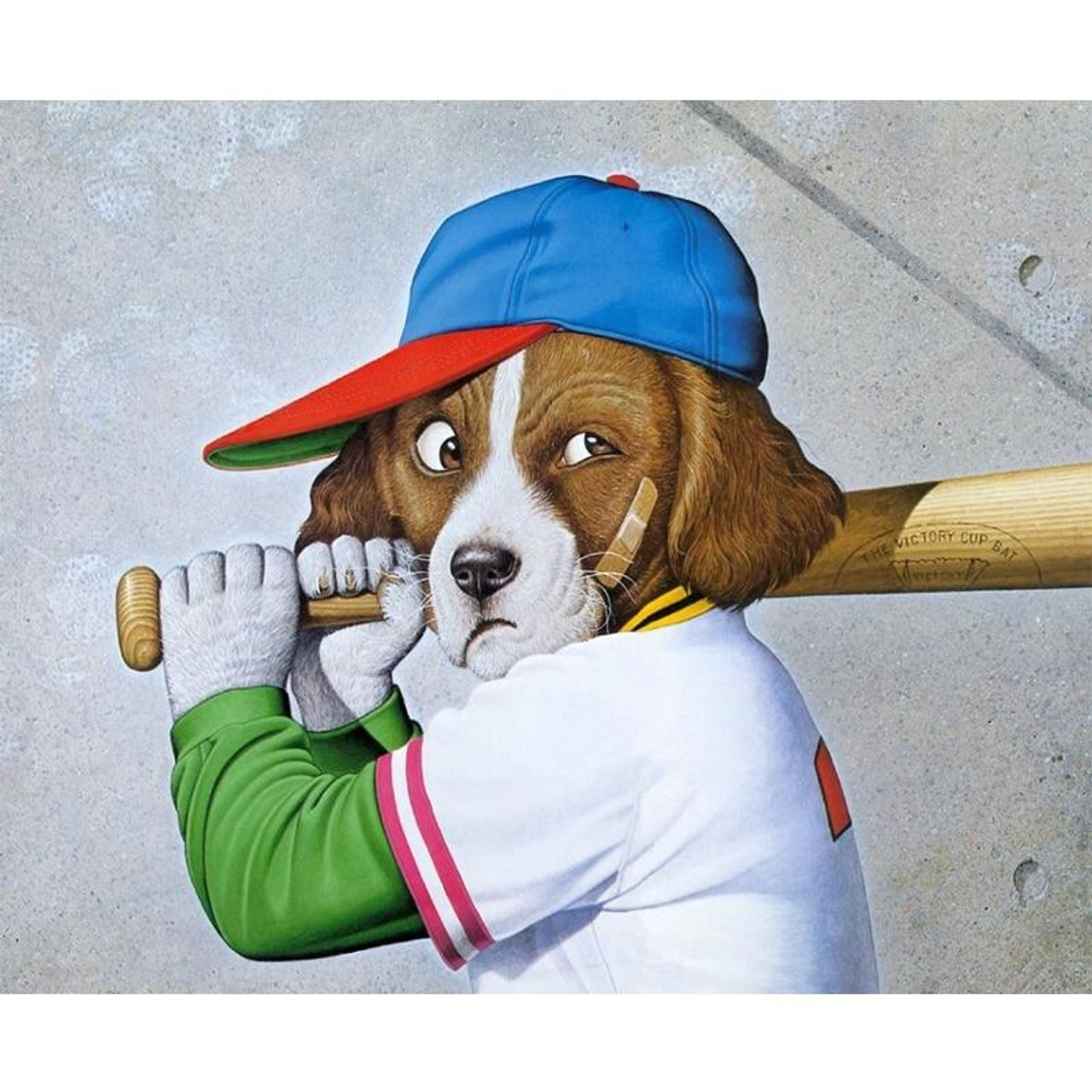 1,435 Dog Playing Baseball Images, Stock Photos & Vectors