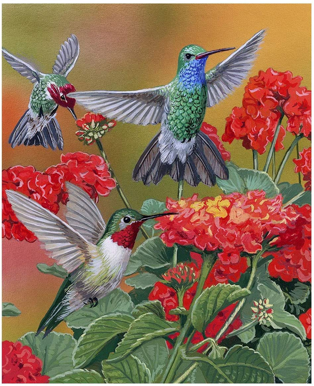 5D Diamond Painting Three Hummingbirds Kit - Bonanza Marketplace