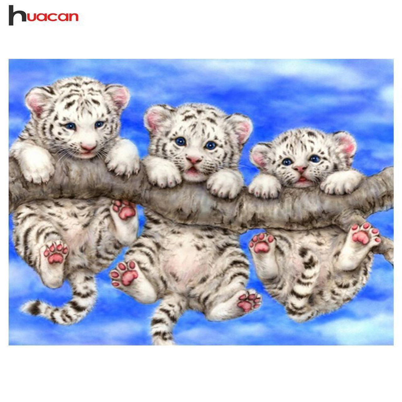 BUY WHITE TIGER CUBS