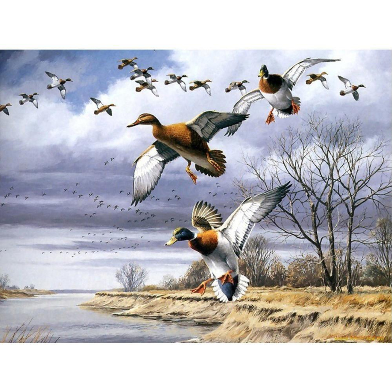 Duck Hunting Diamond Painting Kit with Free Shipping – 5D Diamond Paintings