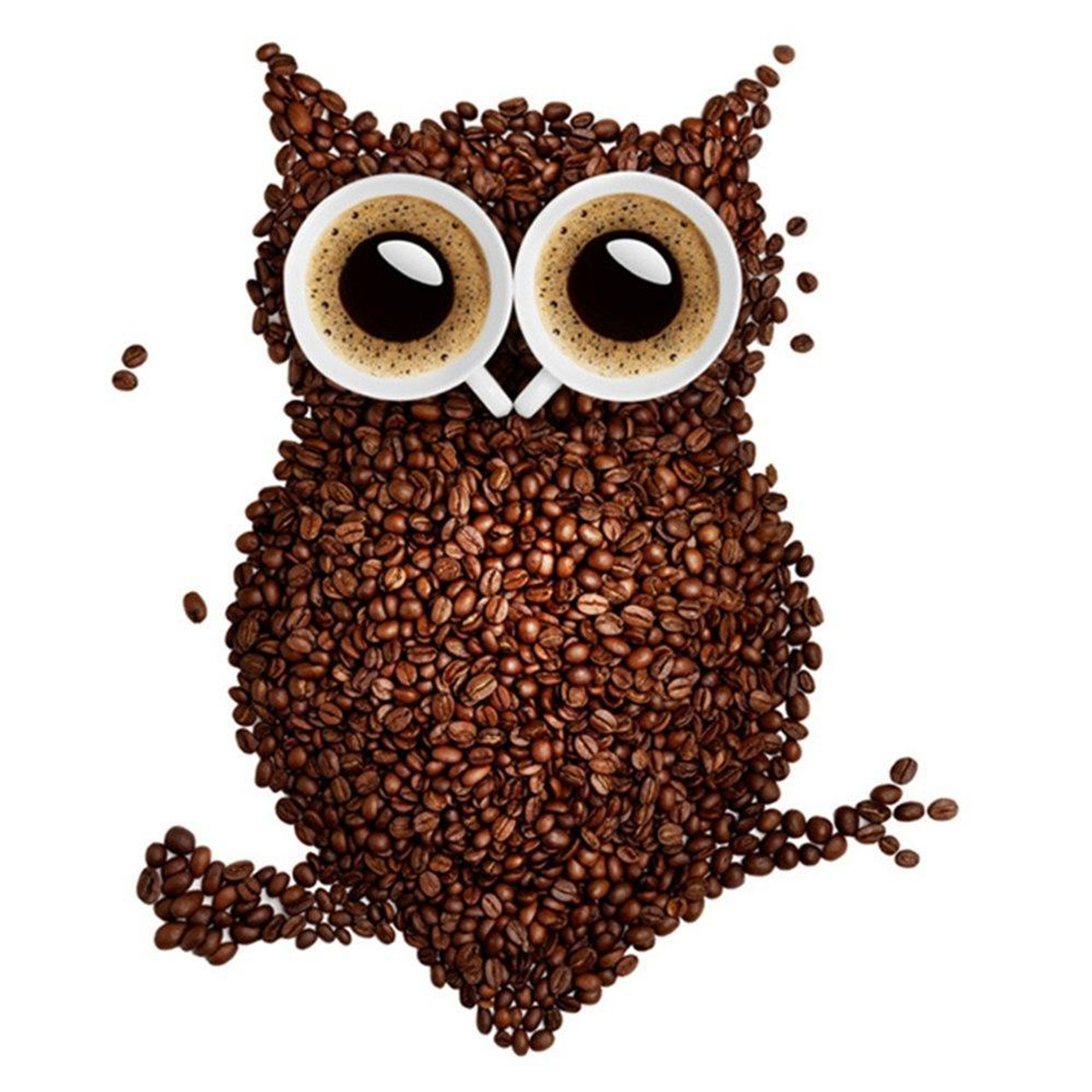 Owl With Coffee DIY Diamond Painting – GemsFlow