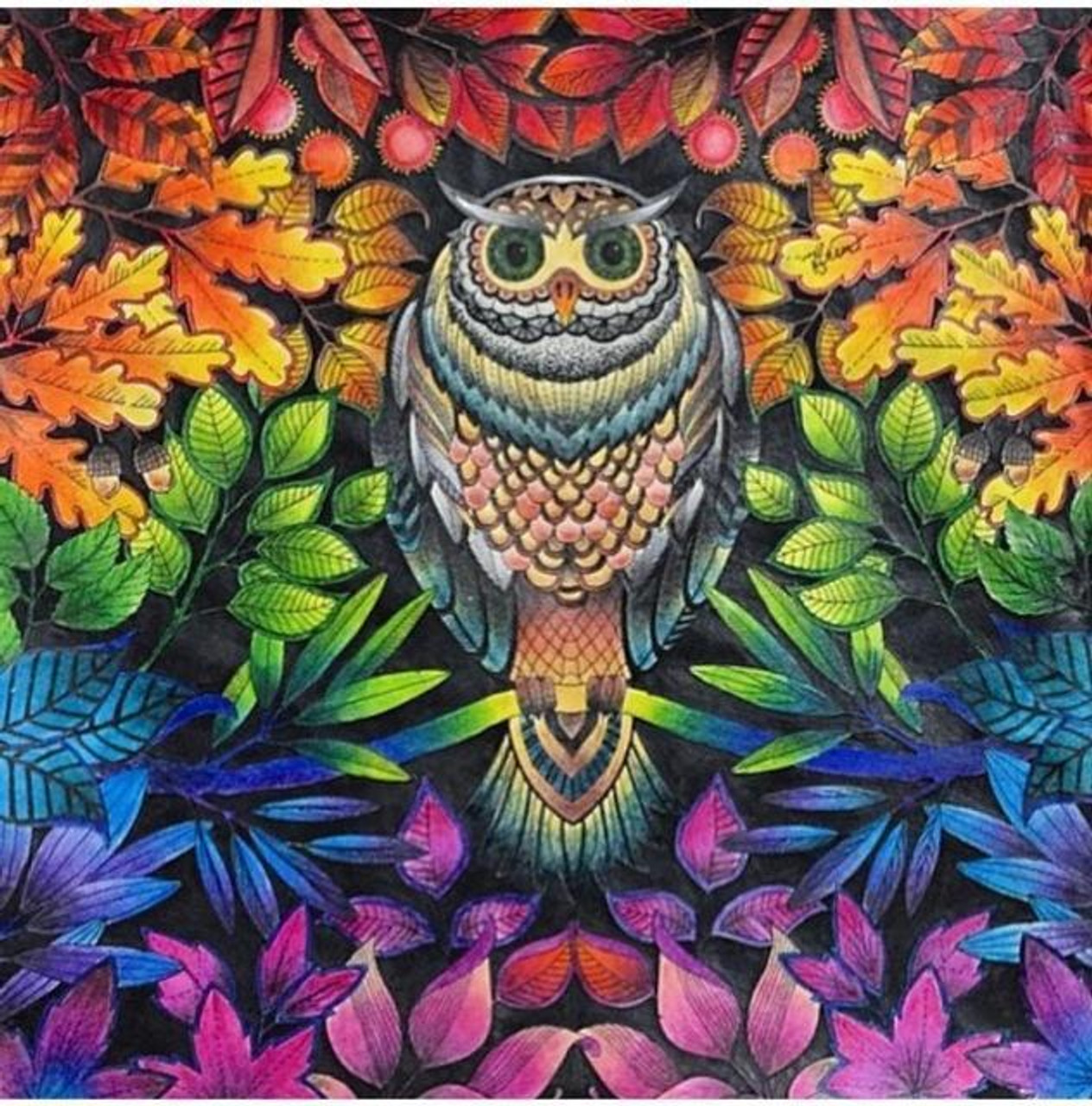 Rainbow Owl From Artibalta - Diamond Painting - Kits - Casa Cenina