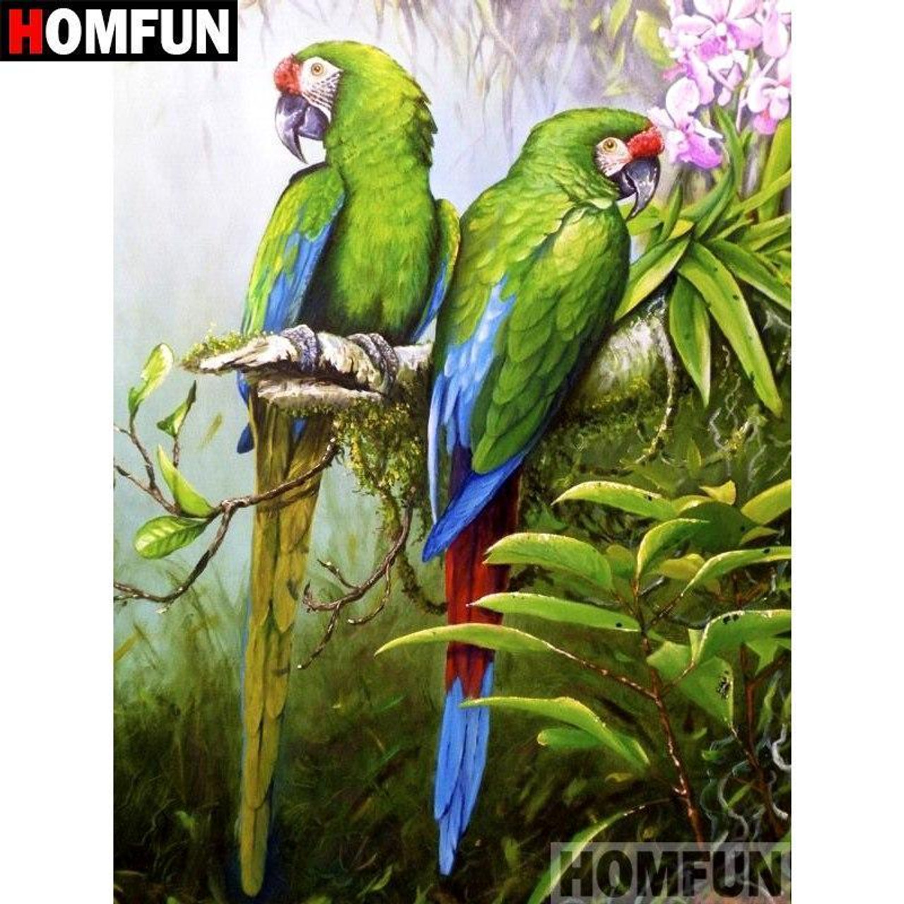 9D 2 in 1 paiting and diamond art with frame Parrot - Fashion Diamond  Painting