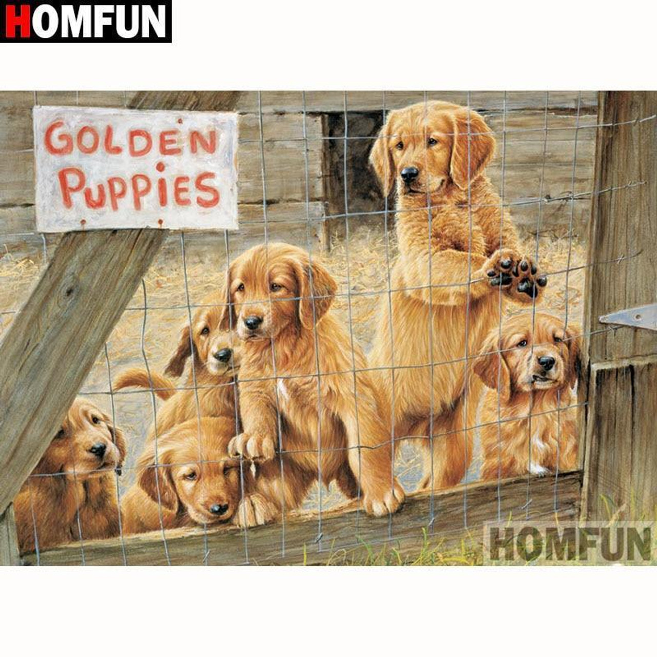 Golden Retriever Dog - Diamond Painting Kit