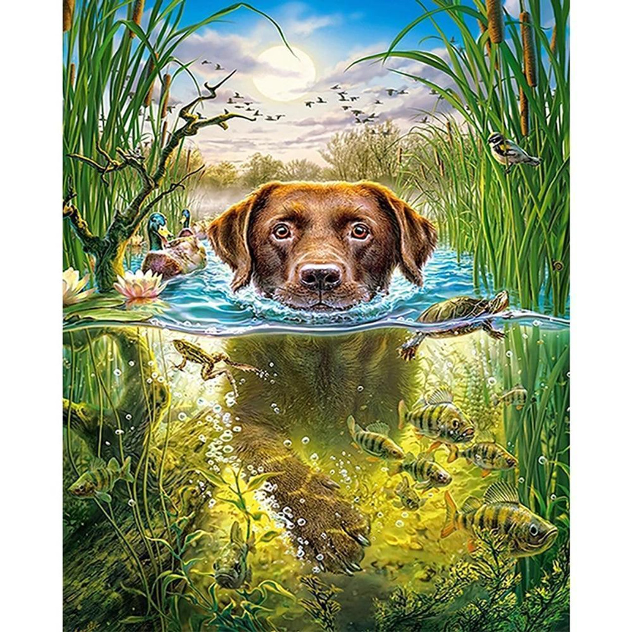 Diamond Painting Dog Reflection In The Water Cute Design