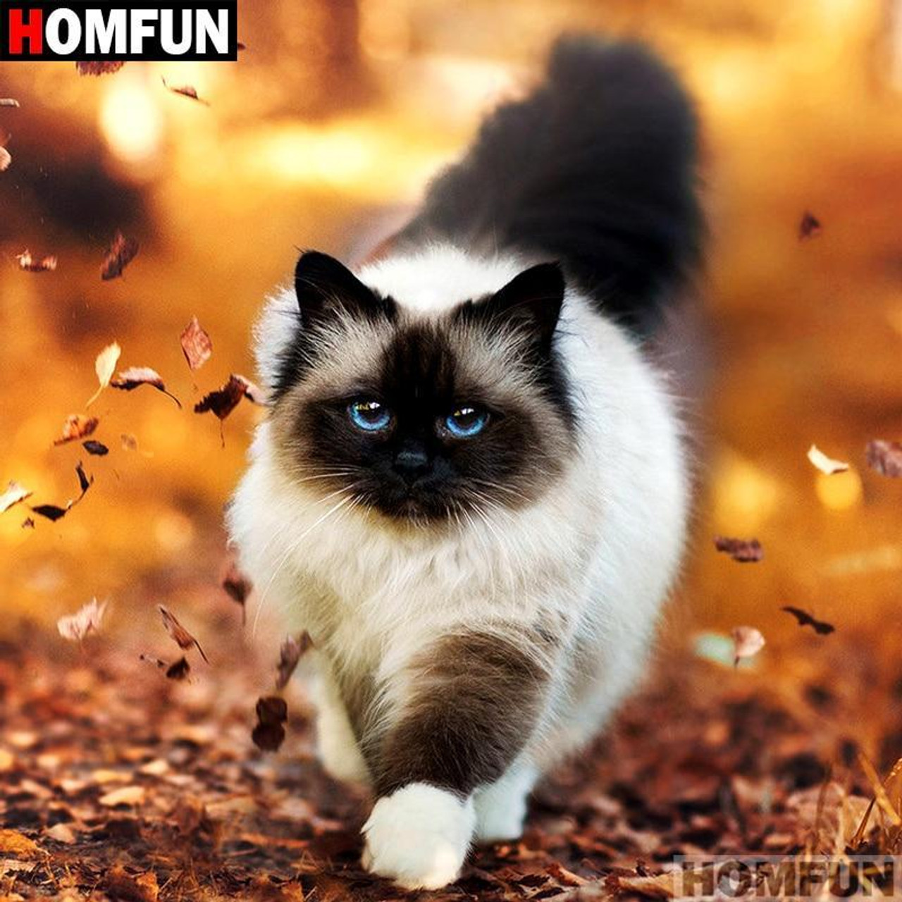 5D Diamond Painting Long Haired Siamese Cat Kit