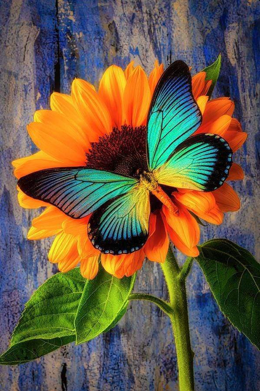 5D Diamond Painting Monarch Butterfly and Two Sunflowers Kit - Bonanza  Marketplace