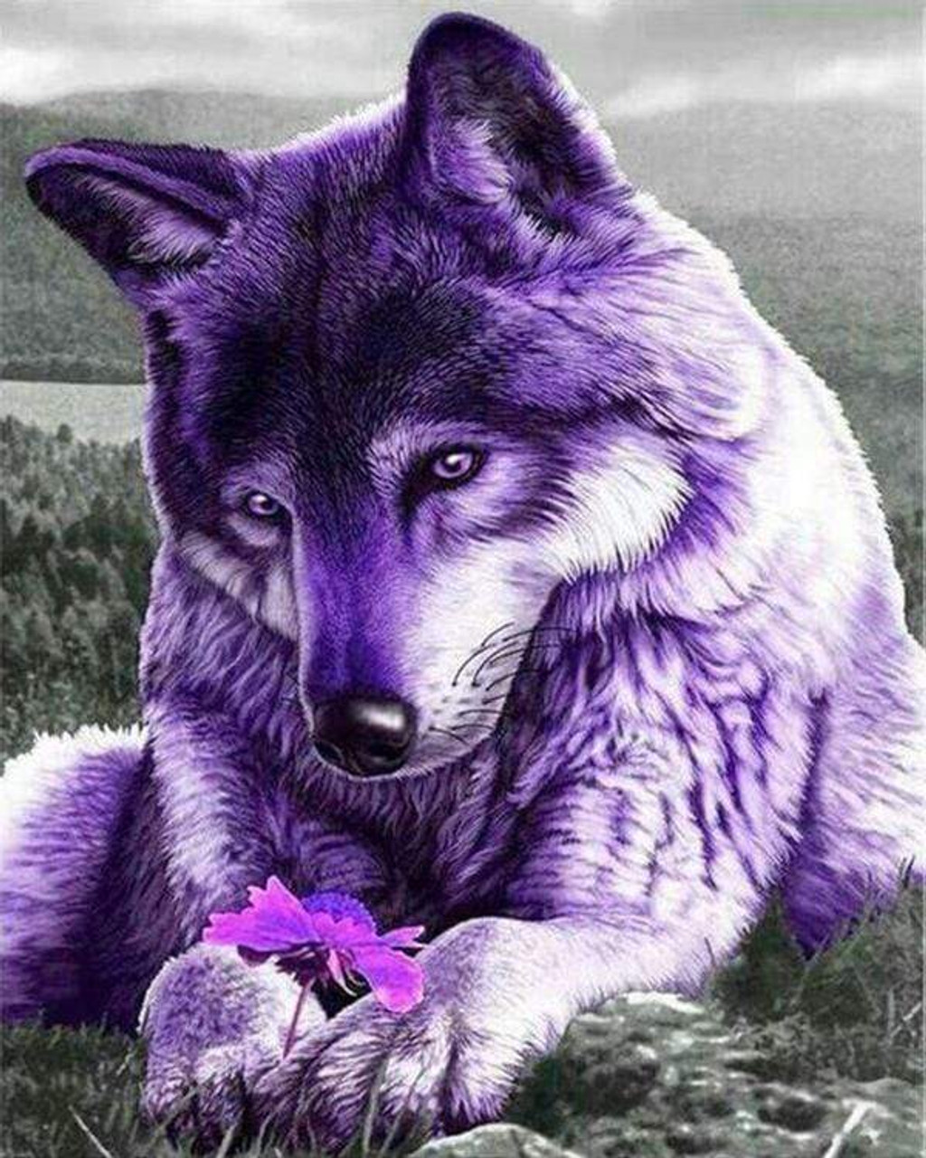 wolf in the dark with purple lightning Stock Illustration  Adobe Stock