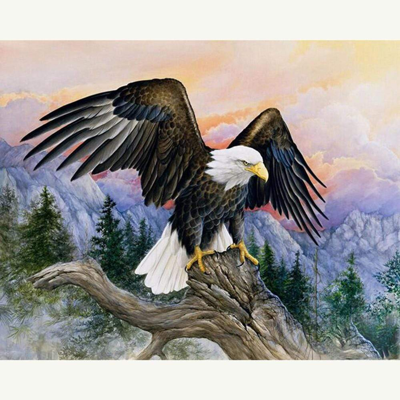 Eagle's Perch: Paint by Numbers - The Majesty of Nature Awaits