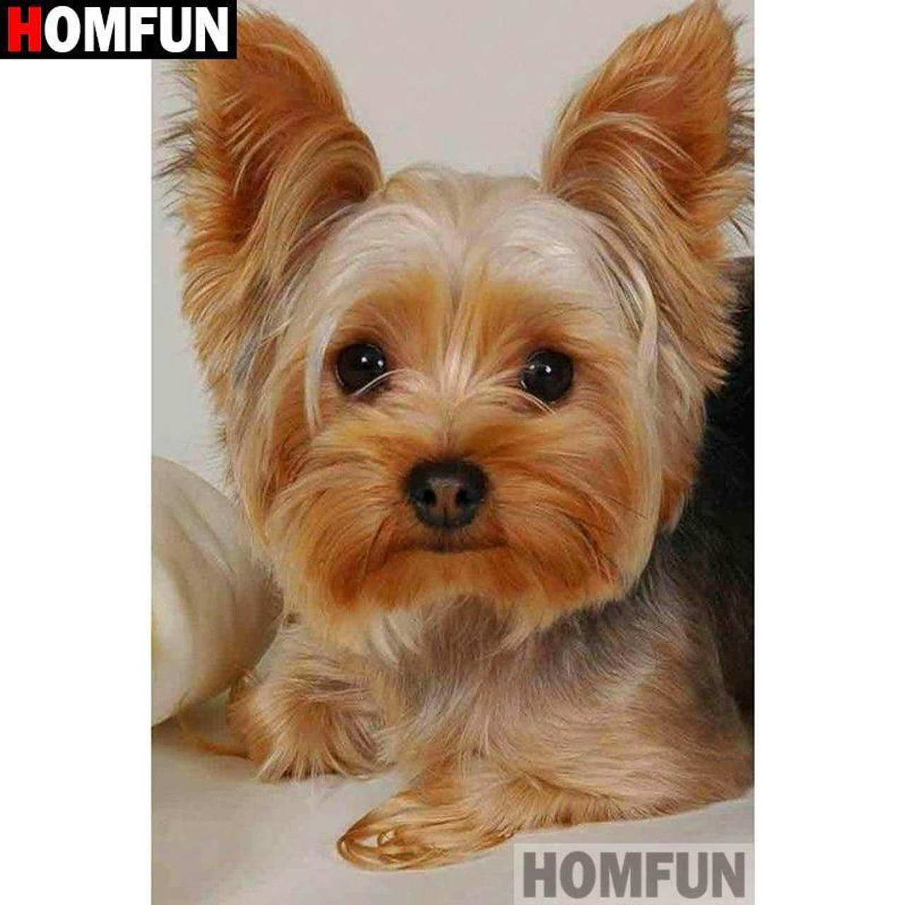 Yorkie ears deals