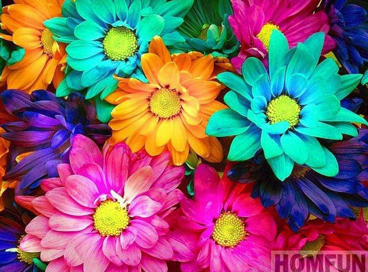 Colourful Flowers Diamond Painting – Everyday Happy Choice