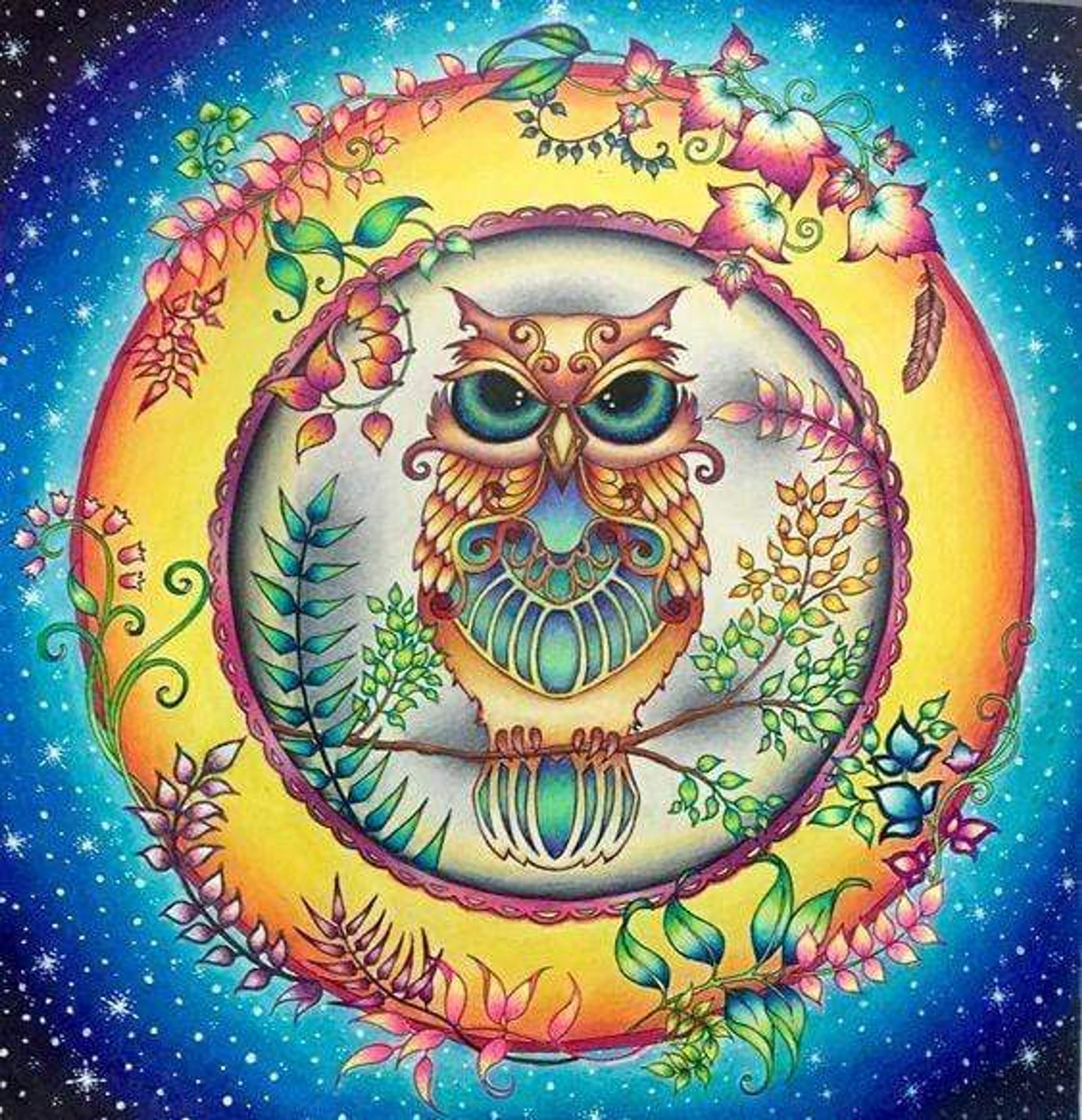 5D Diamond Painting Circle of Owls Kit - Bonanza Marketplace