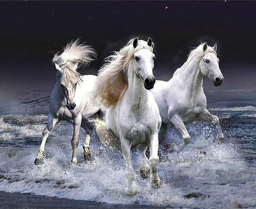 5D Diamond Painting White Galloping Horses Kit