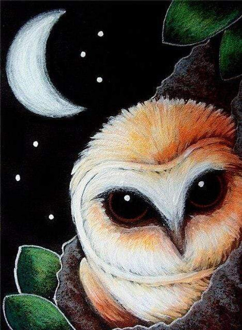 5D Diamond Painting Owl Crescent Moon Kit