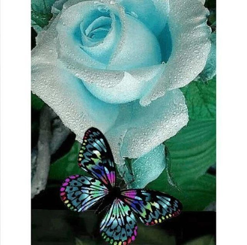 5D Diamond Painting Blue Rose Butterfly Kit