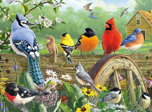 5D Diamond Painting Birds on the Fence Kit