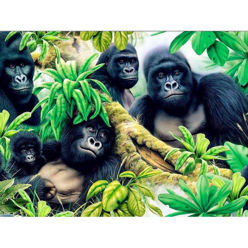 5D Diamond Painting Five Gorillas Kit