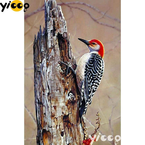 5D Diamond Painting Woodpecker Kit