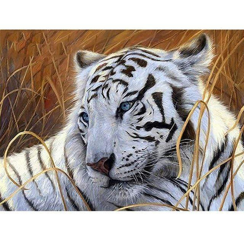 5D Diamond Painting White Tiger in the Tall Grass Kit