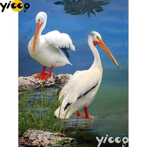5D Diamond Painting Two White Pelicans Kit