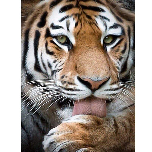 5D Diamond Painting Tiger Tounge Kit